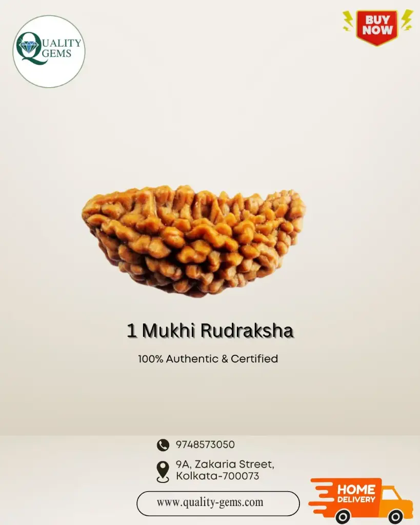 1 Mukhi Rudraksha