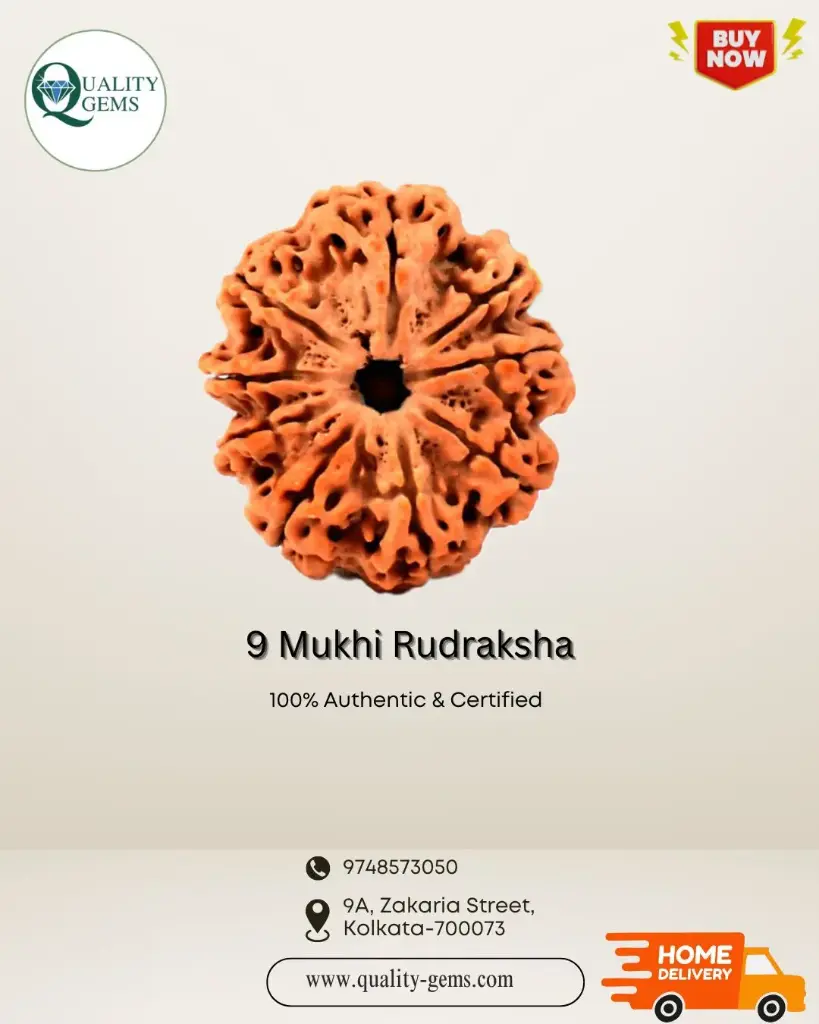 9 Mukhi Rudraksha