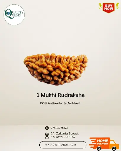 1 Mukhi Rudraksha