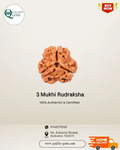 3 Mukhi Rudraksha