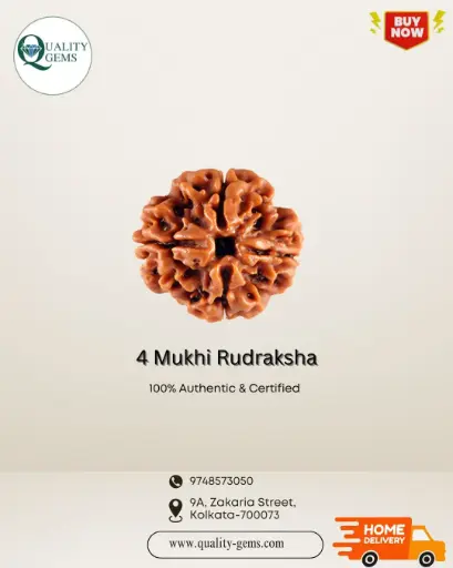 4 Mukhi Rudraksha