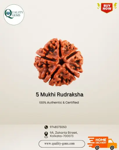 5 Mukhi Rudraksha