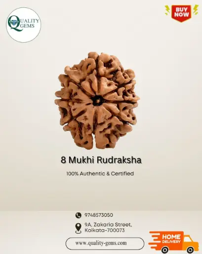 8 Mukhi Rudraksha