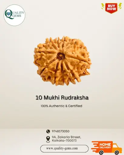 10 Mukhi Rudraksha
