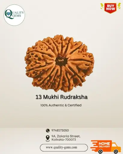 13 Mukhi Rudraksha