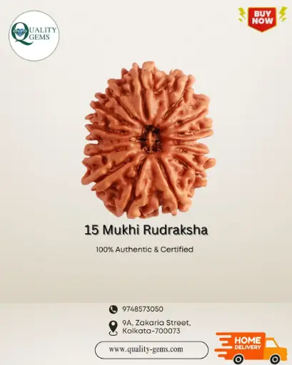 15 Mukhi Rudraksha