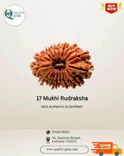 17 Mukhi Rudraksha